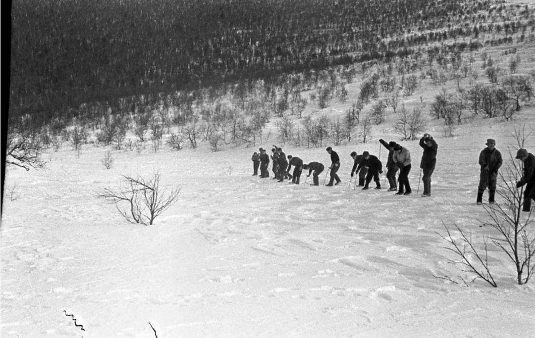 Поисковые работы