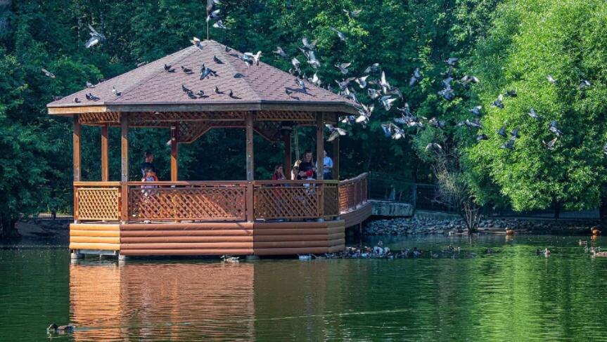    Фото - Новосибирский зоопарк