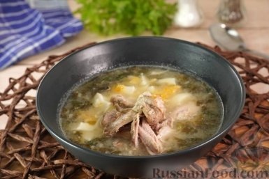 Летний суп с курицей, сливками и щавелем: рецепт с польскими корнями  📷
