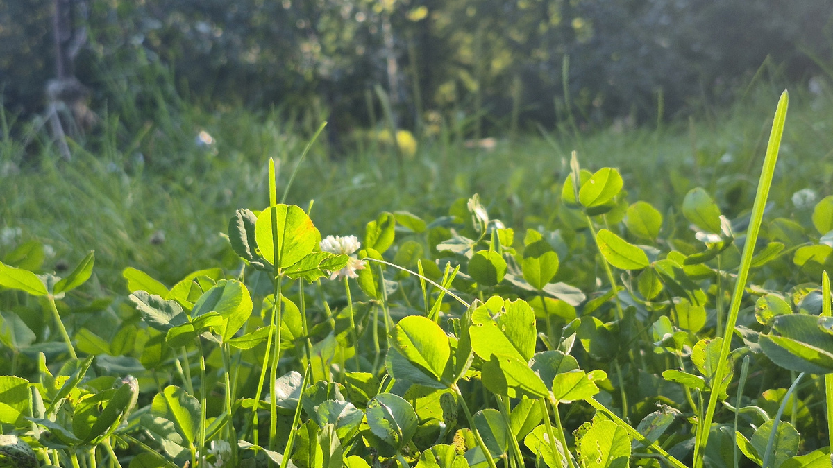 по дороге на