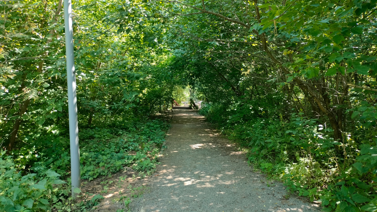 Конец тропы