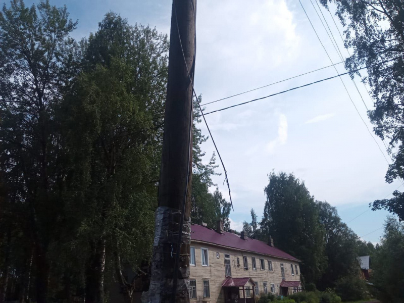    Оборвавшийся электропровод убил собаку в поселке КарелииТелеграм-канал Госкомитета Республики Карелия по обеспечению жизнедеятельности и безопасности населения