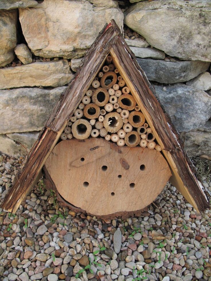 Домик попроще. Именно в таком скорее всего поселятся осы, пчелы, наездники.