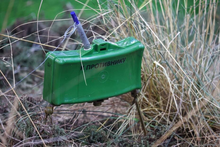    Алексей Белкин/NEWS.ru