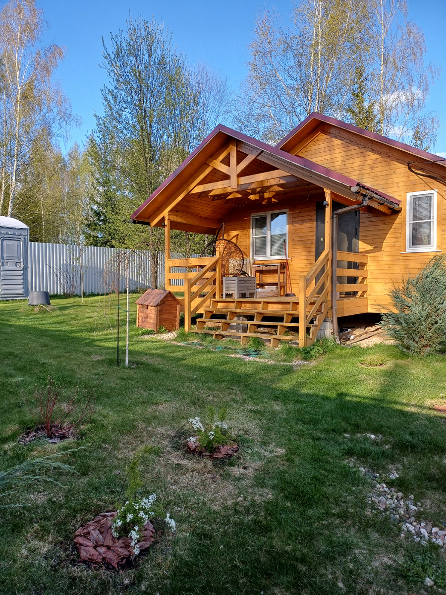 Спиреи сидят каждая в своём посадочном месте. Фото из архива авторов.