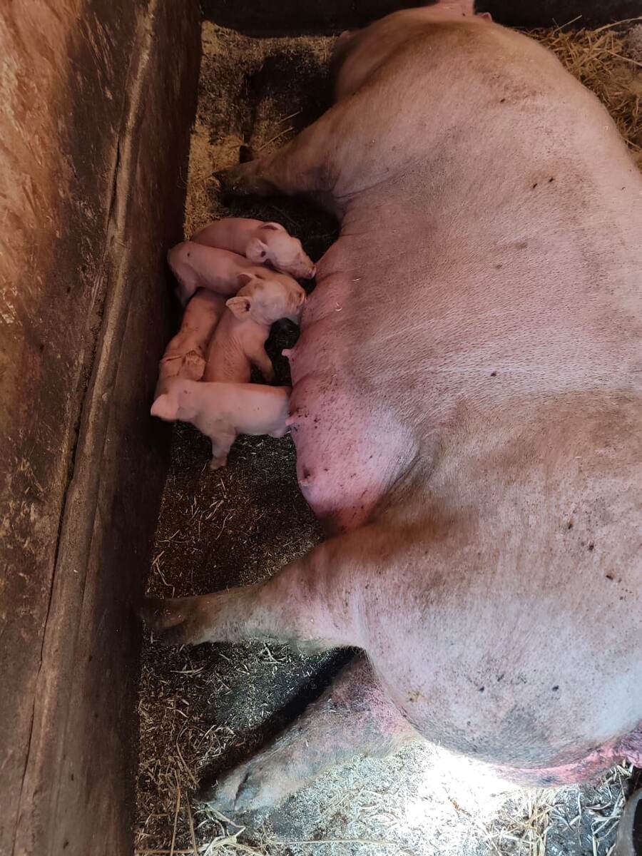 Фото автора канала