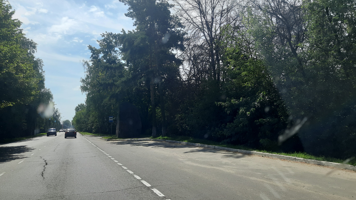 А это камень под деревьями. Вот такой я фотограф!