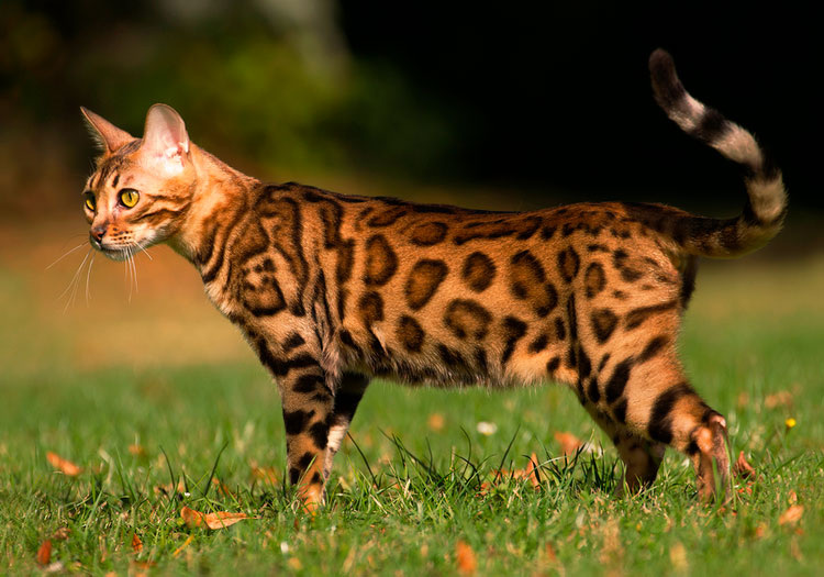 Фото взято с интернета