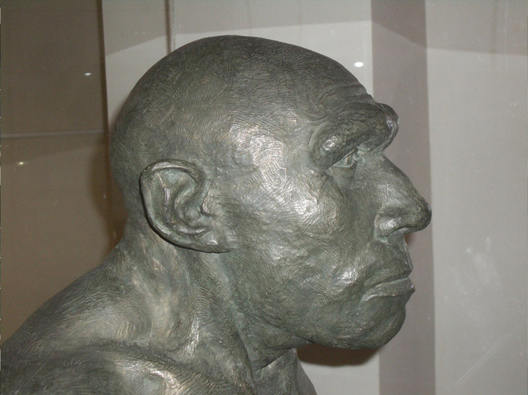   ru.wikipedia.org