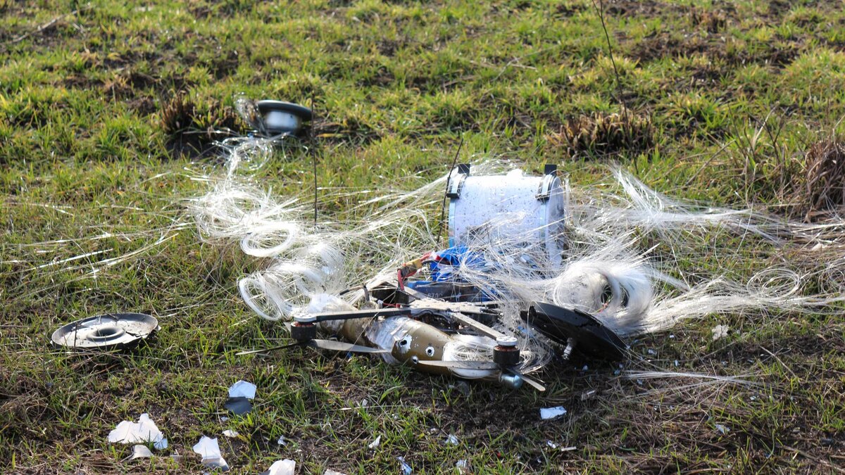    Фото: Konopatov Yuri/news.ru