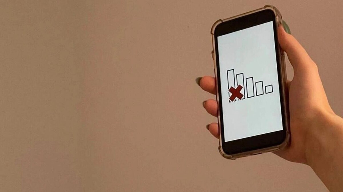     Источник: prmira.ru