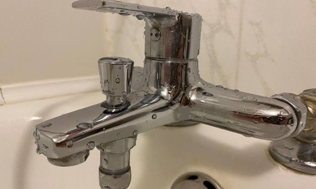    Фото: пресс-служба Новосибирского зоопарка