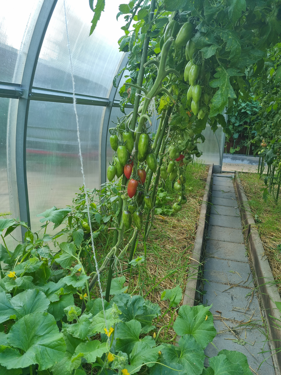 Фото автора.