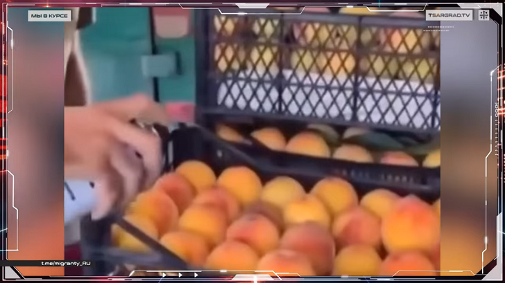    Фото: Царьград