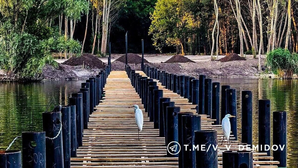     Источник: t.me/v_v_demidov