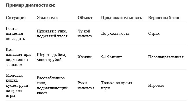 Пример диагностики