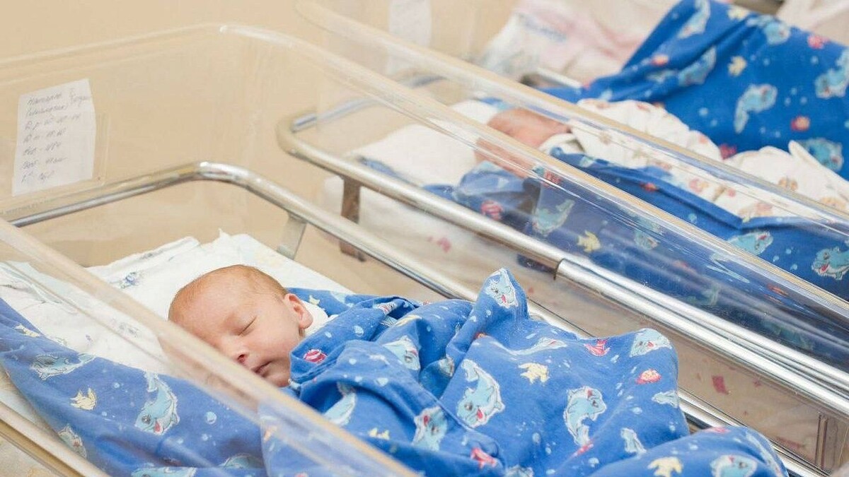    Фото: t.me/evgeniiFilippov23