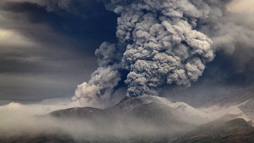    Фото: © Cover Images/Keystone Press Agency/Globallookpress