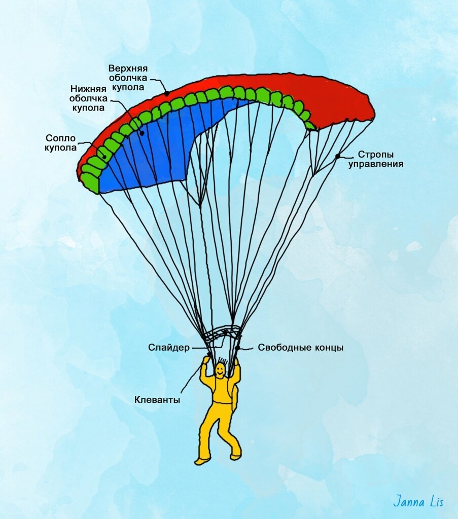 фото из интернета