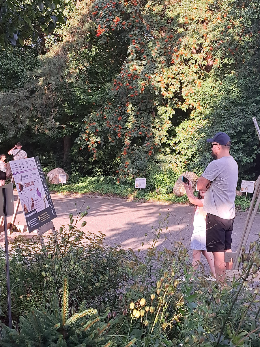 Муж с дочкой изучают, кто водится в бот саду