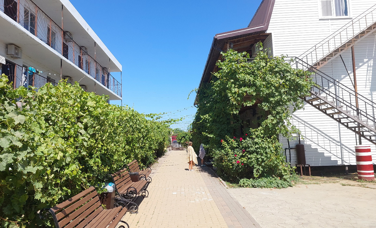 Отель "Черепаха", Кучугуры. Все фото в статье авторские