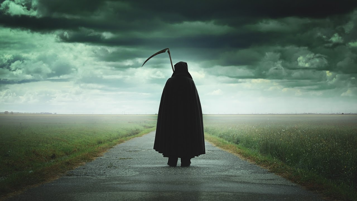 Человек — единственное существо, способное осознанно предвидеть собственное исчезновение. 