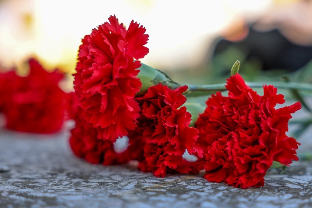    Фото © Алексей Коновалов / ТАСС