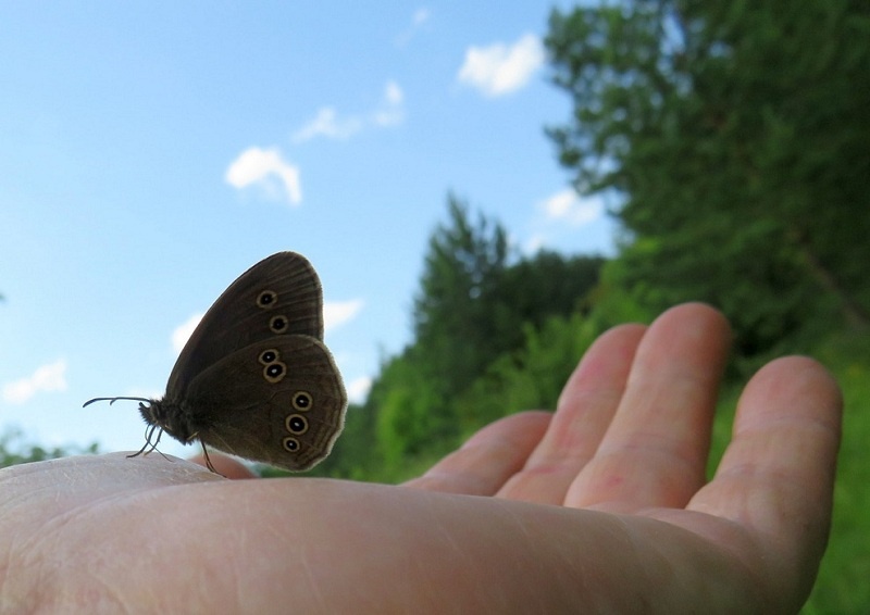 Фото Митрофановой Любови, г.Белинский