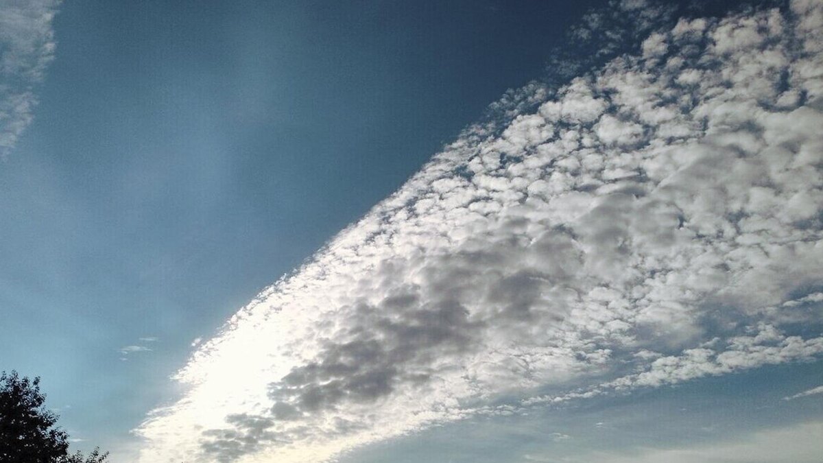    Фото: t.me/drozdenko_au_lo