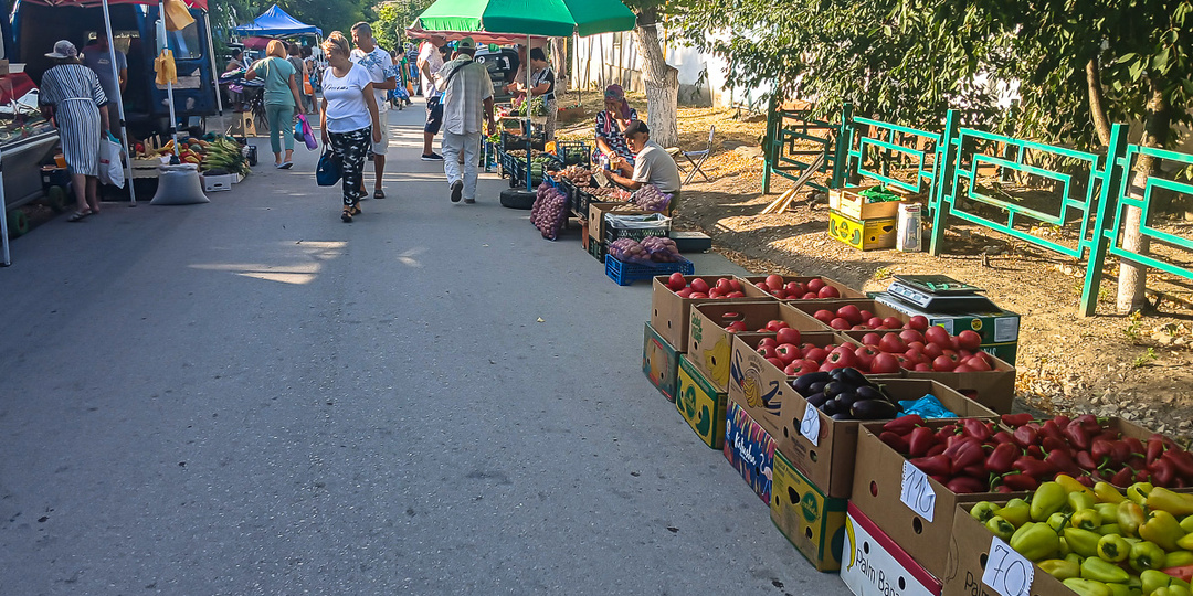 Арбузы, дыни, помидоры, огурцы - всё по 50 на Старокрымском рынке