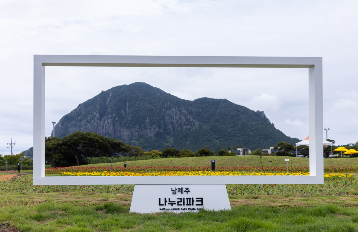 Телевизор на природе