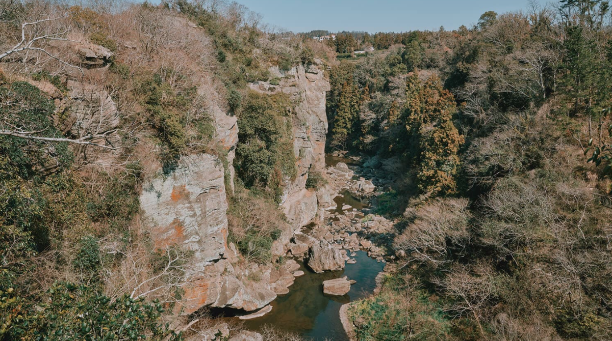 Jeju Olle тропа