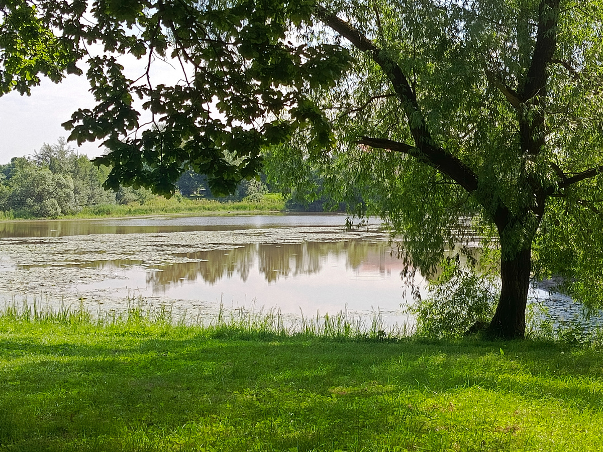 Орловский пруд.