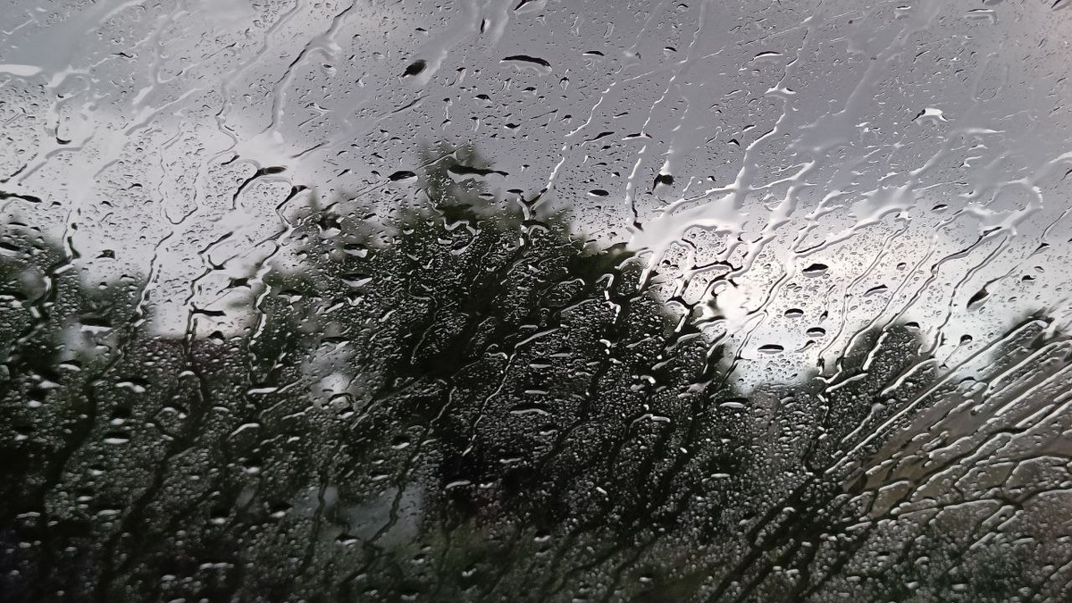    Фото: скриншот кадра документального фильма "Морпехи"