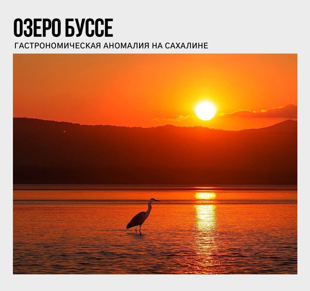 Фото от Вместе Тревел