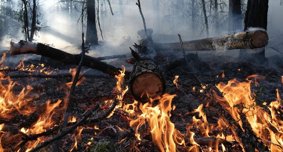    РИА «Новости»