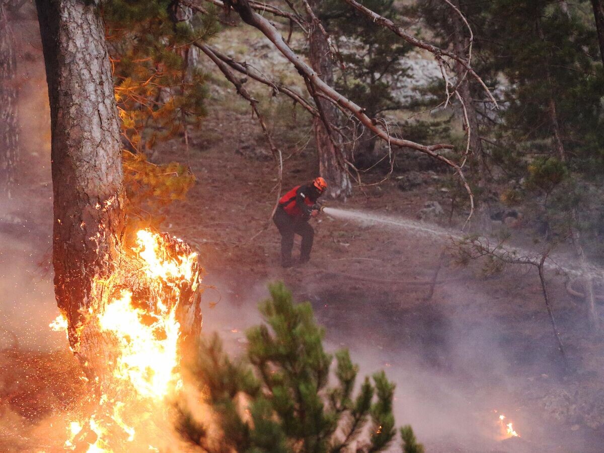    Ликвидация лесного пожара в Анталье, Турция© Getty Images / Anadolu/Mustafa Kurt