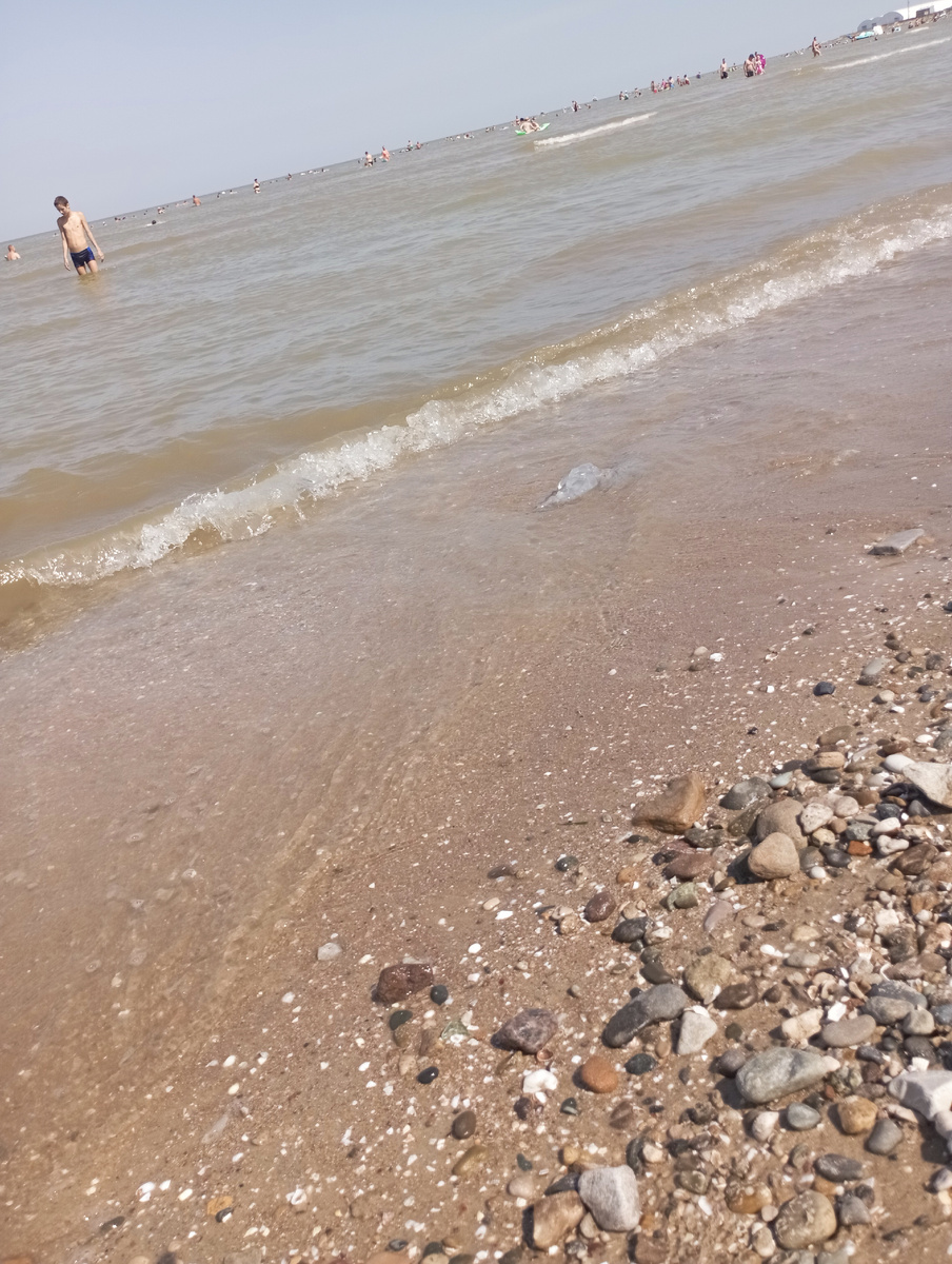 Сегодня на Каменке медуз почти нет