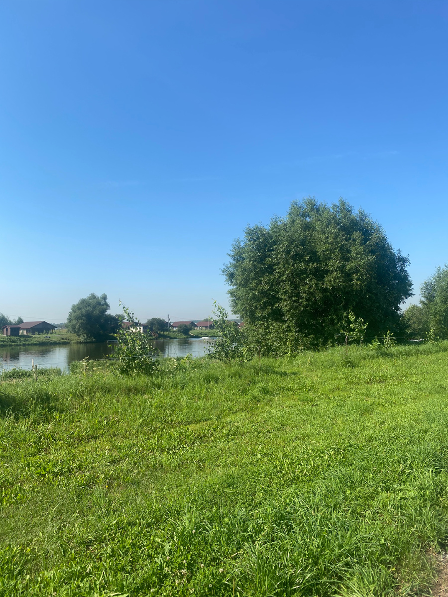 Да, это я на огромном озере фотографирую траву…