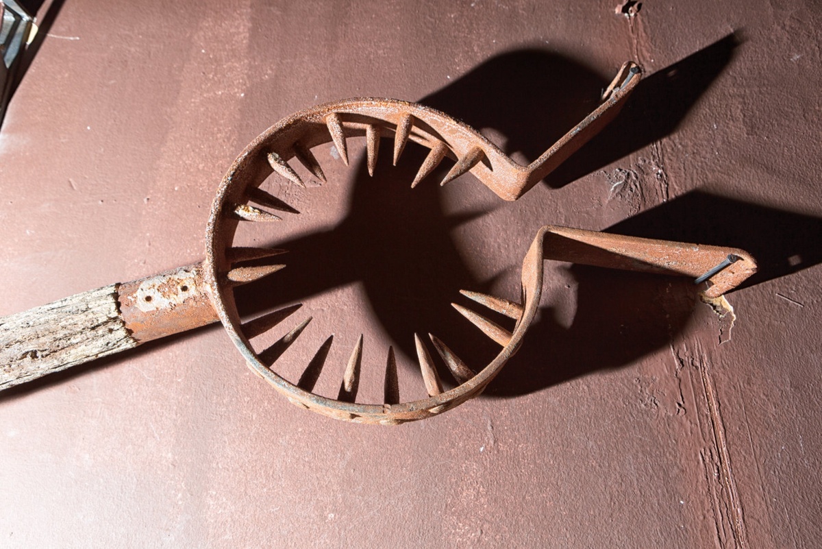 В том числе из-за пыток Средневековье ассоциируется с варварскими традициями Источник фото: www.shutterstock.com