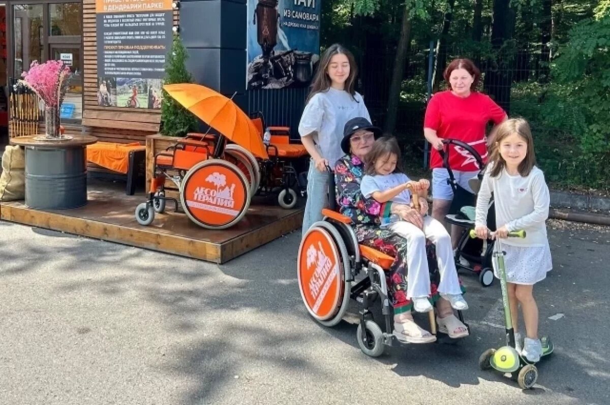    Вторая станция «Лесотерапии» появится в Северной Осетии