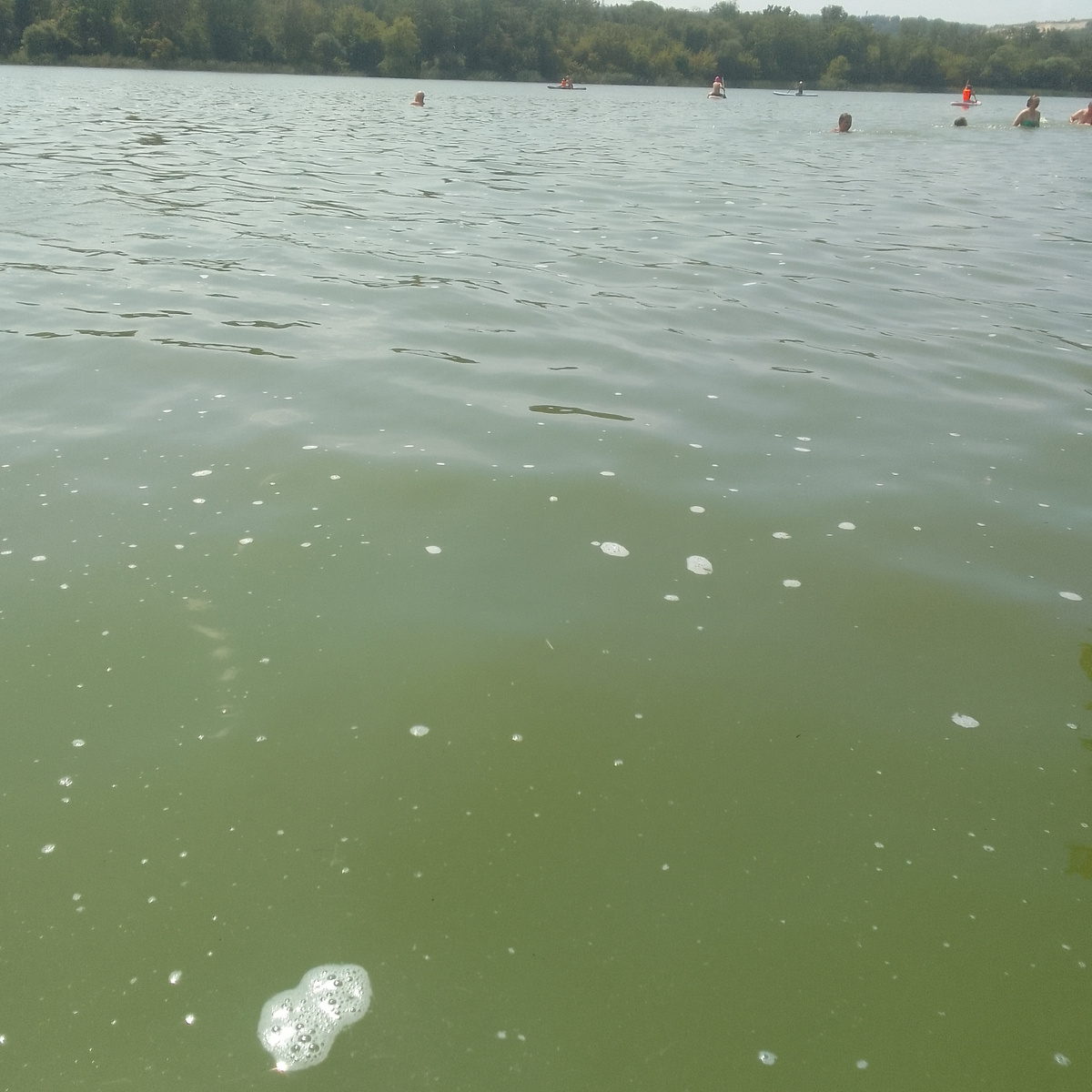 Зелёная вода