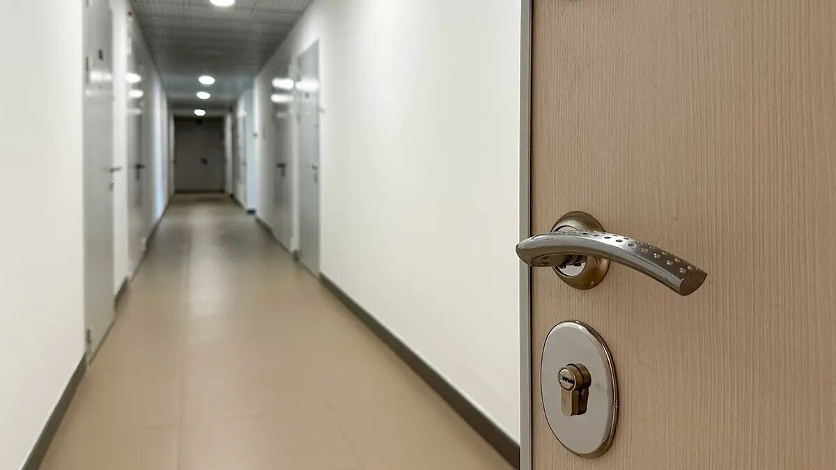    Фото: vm.ru Павел Евсеев