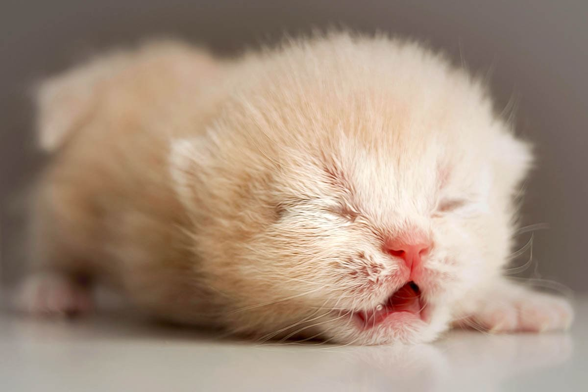 картинка из интернета 