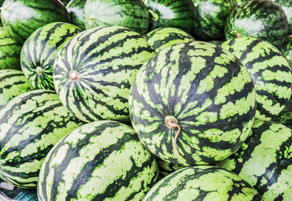    Fresh watermelons. Журналист