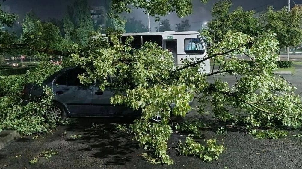     Источник: t.me/oskoln1