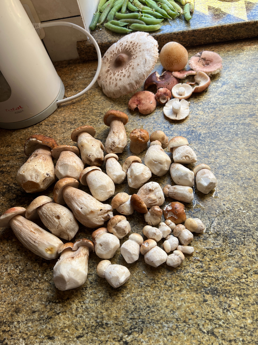 Сбор 25.07.25 Фото автора