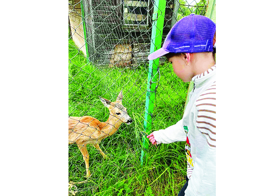     Какие новости в Копыльском сельсовете? Рассказываем