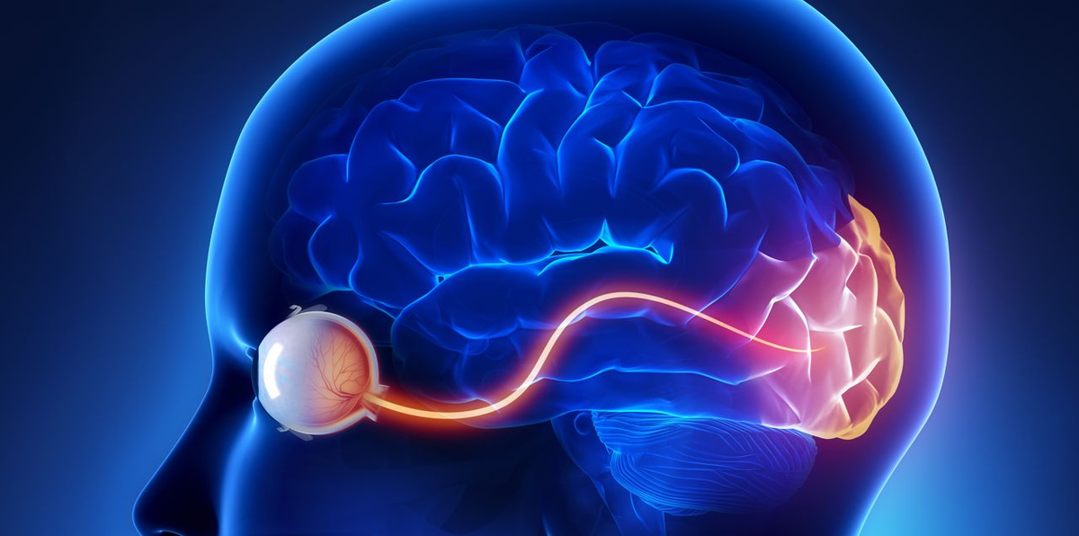 картинка из интернета 