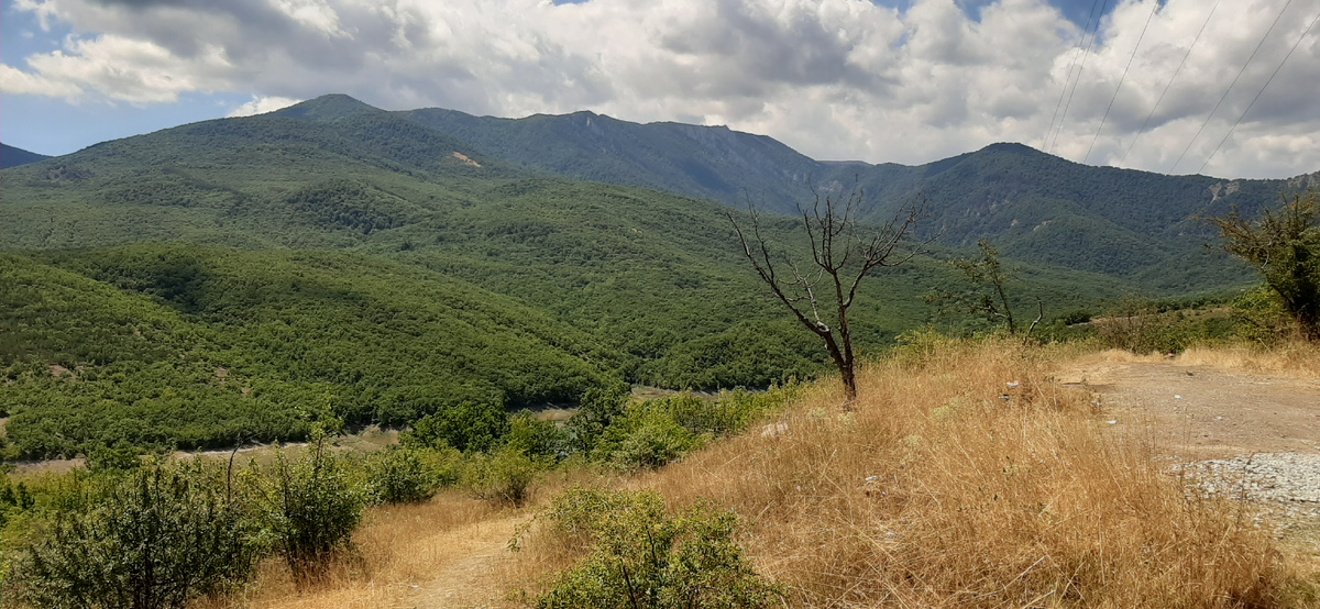 Кадр по пути. Фото автора 